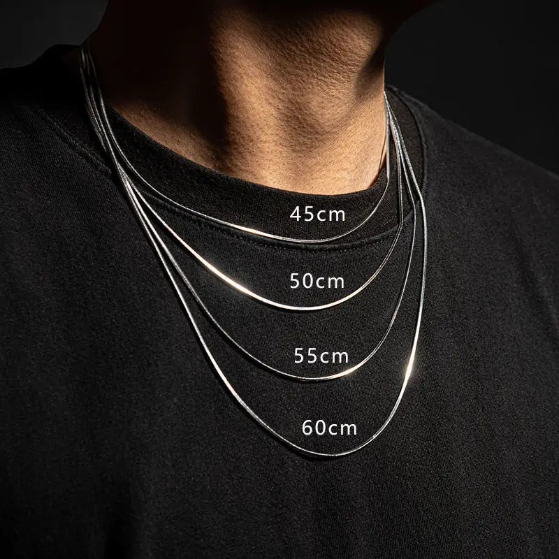 Hip Hop Snake Chain Necklace for Men Women Punk 2 To 3 MM Stainless Steel Choker Necklace Vintage Jewelry Accessories